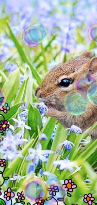 This phone live wallpaper is a stunning depiction of a chipmunk enjoying a perfect spring day