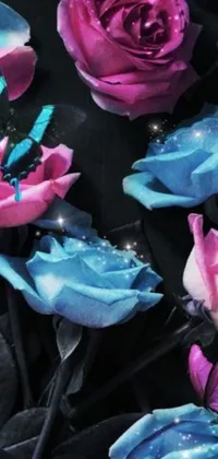 This live wallpaper features an arrangement of vivid pink and blue roses set against a black background