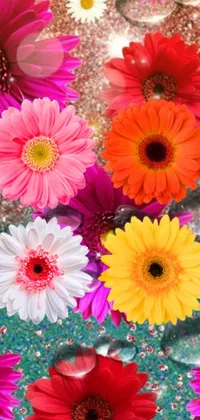 This phone live wallpaper showcases a delightful bunch of sparkling flowers on a daisy bed, inspired by Lisa Frank's style