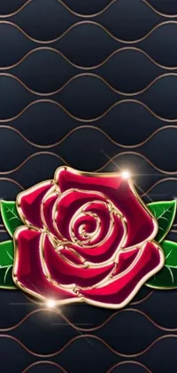 This live phone wallpaper features a beautiful red rose with green leaves that pop against a black background