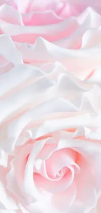 This gorgeous phone live wallpaper features a close up of a beautiful white rose with pretty pink petals