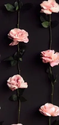 Introducing a stunning live wallpaper for your phone featuring a bunch of pink roses on a black background