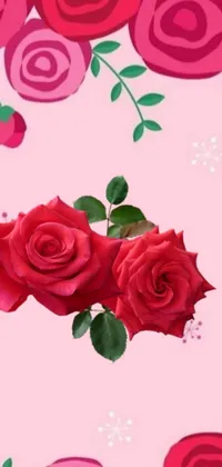 This phone live wallpaper showcases a stunning digital rendering of red roses set against a charming pink background