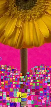 This beautiful phone live wallpaper boasts a sunny yellow flower resting on a lively pink background