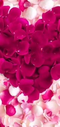 This striking live phone wallpaper showcases a stunning magenta-colored heart fashioned from swathes of soft rose petals