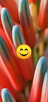 Get ready to add some color and whimsy to your phone with this trendy live wallpaper! Featuring a close-up shot of a flower with a smiley face on it, this design is both playful and delightful