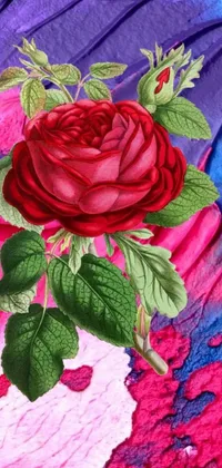 This phone live wallpaper is a detailed and colorful painting of a red rose with green leaves