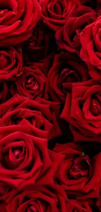 This phone live wallpaper depicts a dazzling close-up of a red rose bouquet, perfect for adding an element of mystique to your display
