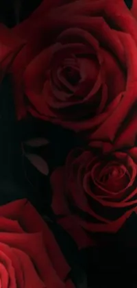This phone live wallpaper showcases a stunning digital art piece of red roses, created in 2018