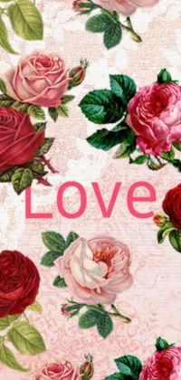 This exquisite live wallpaper features a stunning bunch of pink and red roses set against a soft pink background