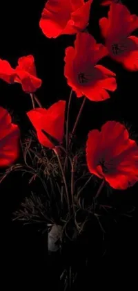 This live wallpaper showcases a stunning black light art photograph of a vase filled with gorgeous red poppies resting on a table, viewed from below