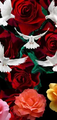 This captivating and colorful phone live wallpaper features a group of white birds effortlessly flying over a field of vivid red roses