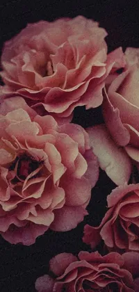 Decorate your phone with a stunning live wallpaper lush with pink roses against a black backdrop