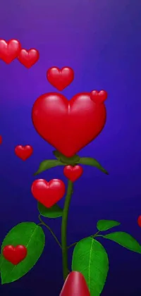 This mobile live wallpaper features a stunning red rose with hearts floating around it against a beautiful blue background