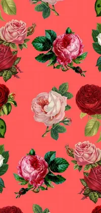 This stunning live phone wallpaper features a repetitive pattern of lovely red and white roses set against a charming pink background