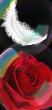 This phone live wallpaper boasts a captivating rose, trapped inside a bubble