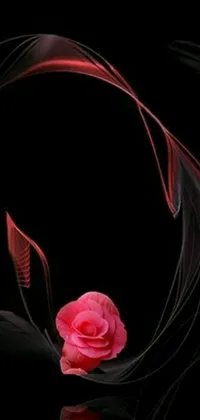 This phone live wallpaper features a stunning pink rose resting on a black surface