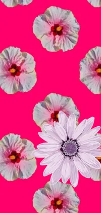 This live wallpaper for your phone showcases a stunning close up of a pink flower set against a pop art inspired background