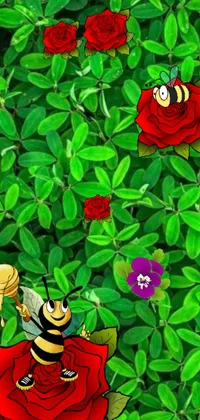 This phone live wallpaper showcases a stunning image of a bee resting peacefully on a red rose
