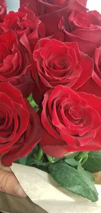 Looking for an enchanting phone live wallpaper to brighten up your screen? Look no further than this stunning image of a bouquet of red roses