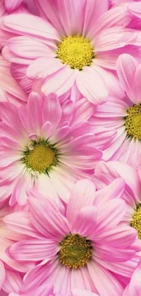 This stunning live phone wallpaper features a gorgeous close-up shot of pink flowers, composed of vibrant daisies, rose petals, and lilies