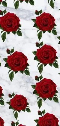 This live wallpaper features stunning digital art of red roses on a backdrop of white and red marble panels