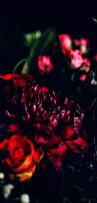 This phone live wallpaper showcases a bouquet of flowers in deep crimson and dark shadows, with intricate details on the petals and stems highlighted by a dark, purple and scarlet background