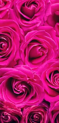 This stunning live wallpaper is a digital rendering of fuchsia pink roses, their petals woven with abstract lines in rich, vivid colors