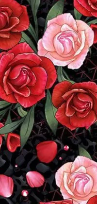 This live wallpaper for your phone is a beautiful display of red and pink roses arranged on a black background
