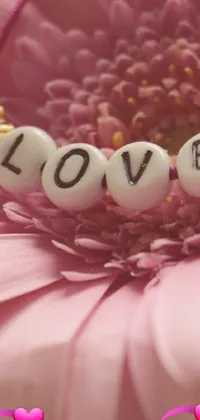 This phone live wallpaper features a delicate pink flower with the word "love" spelled in a flowing script on one of its petals