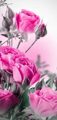 This phone live wallpaper features a stunning arrangement of soft pink roses in a digital art style
