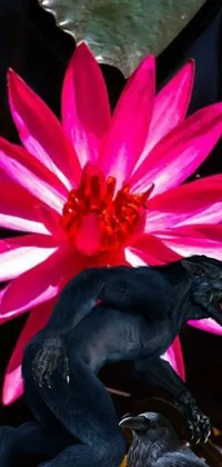 This captivating phone wallpaper features a statue of a man with a colorful flower on his head