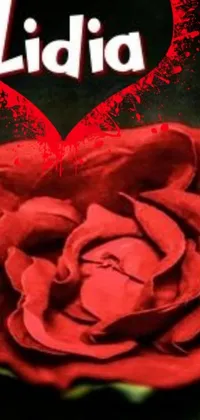 This live wallpaper for your phone showcases a stunning red rose up-close, with intricate details of the petals and stem