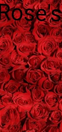 This phone live wallpaper showcases a stunning digital rendering of bright red roses