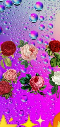 This phone live wallpaper showcases a stunning bunch of colorful roses delicately arranged on top of a purple background