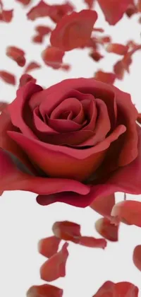 This phone live wallpaper features a stunning close up of a rose surrounded by delicate petals