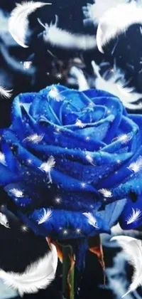 This beautiful live wallpaper features a stunning blue rose surrounded by delicate white feathers