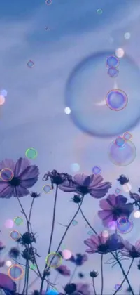 This phone live wallpaper displays a beautiful field of purple flowers with bubbles scattered across the sky