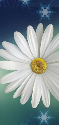 This phone live wallpaper features two white flowers with daisy-like petals and yellow centers, swaying gently as if in a breeze
