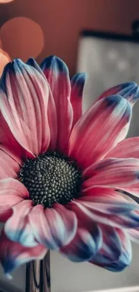 Enjoy a stunning live wallpaper for your phone featuring a vibrant flower in a vase