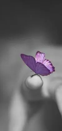 This phone live wallpaper showcases a mesmerizing black and white photo of a person holding a delicate purple butterfly