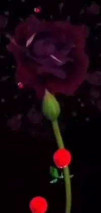 This phone wallpaper features a stunning purple rose on a green stem with a red spike aura in motion