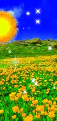 sunny buttercups Live Wallpaper