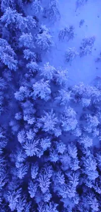 Looking for a serene live wallpaper for your phone? Look no further than this stunning snow-covered forest view