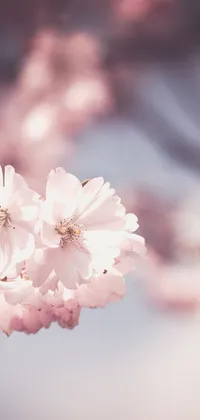 Add a touch of romance and nature to your phone screen with this pink flower live wallpaper