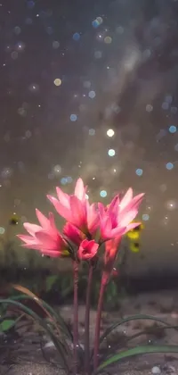 This stunning phone live wallpaper showcases a beautiful pink flower in a field gazing up at a starry sky