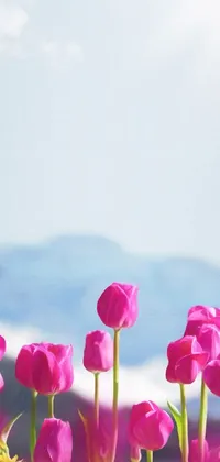 This delightful live wallpaper showcases a serene landscape of pink tulips swaying in the breeze, with a serene mountain backdrop