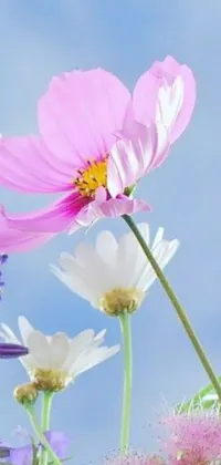 This stunning live wallpaper features purple and white flowers blooming against a beautiful blue sky
