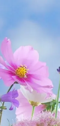 This live wallpaper features stunning purple and white flowers against a backdrop of a serene blue sky