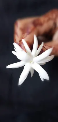 This phone live wallpaper features a beautiful white flower delicately held in a hand, set against a high-resolution 4k polymer clay food photography background